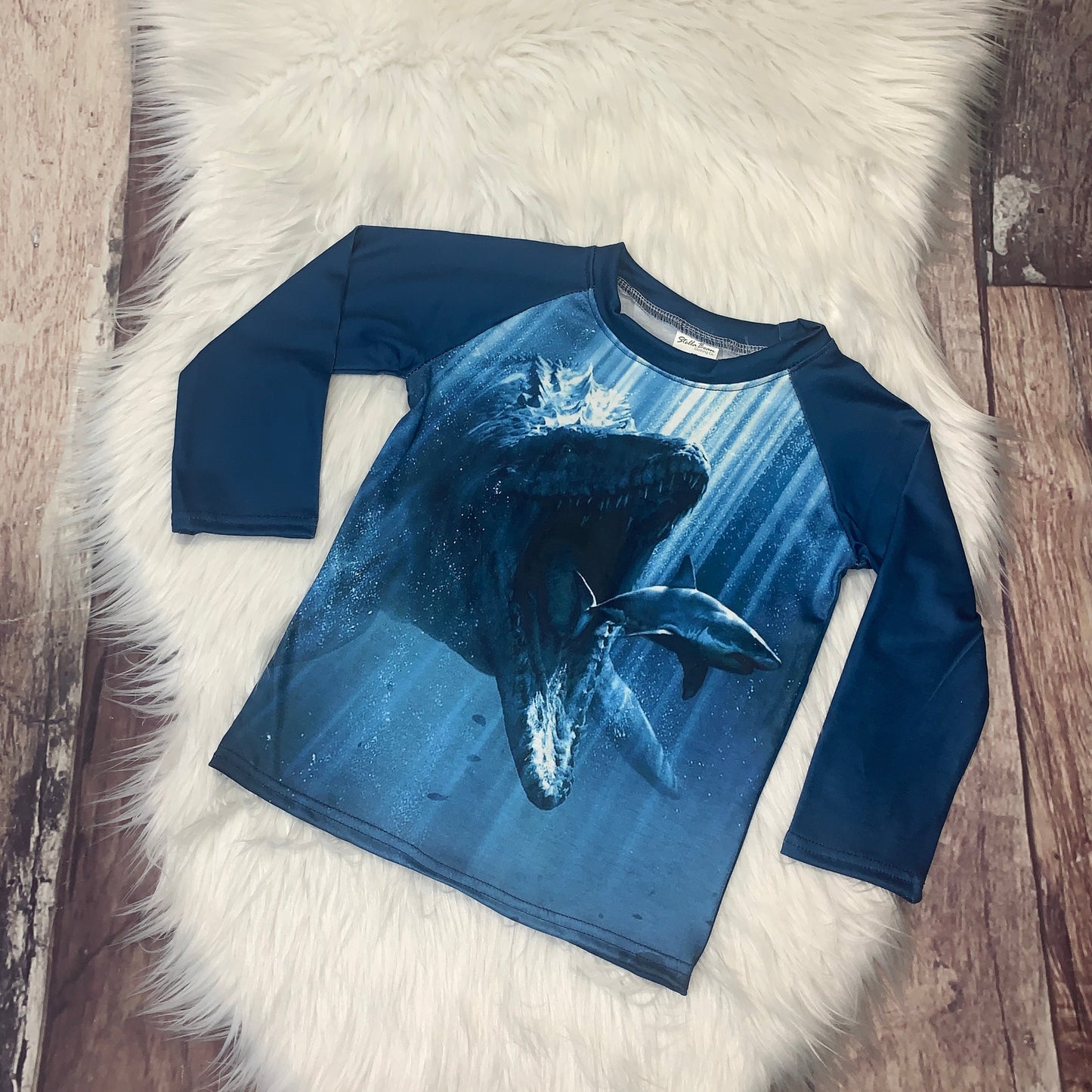 Printed Long Sleeve Dino Raglan - Aqua